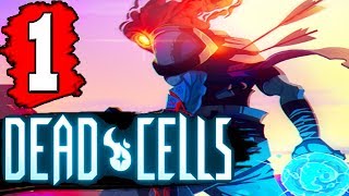 Dead Cells Speedrun  Fresh File in 8min 22sec NEW WORLD RECORD [upl. by Xonnel]