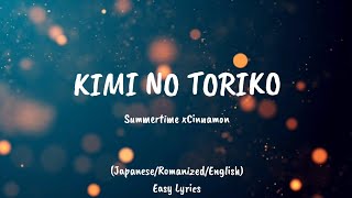 Summertime x Kimi No Toriko RomanizedJapaneseEnglish Easy Lyrics [upl. by Ronal]