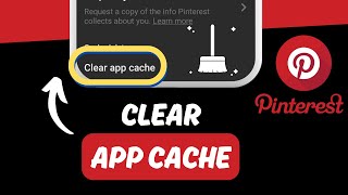 How to Clear App Cache on Pinterest 2024 [upl. by Brill]