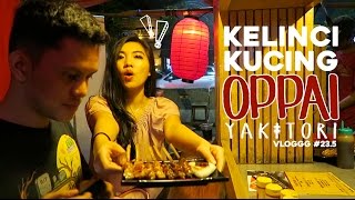 VLOGGG 235 Kelinci Kucing dan Oppai Yakitori [upl. by Araccot]