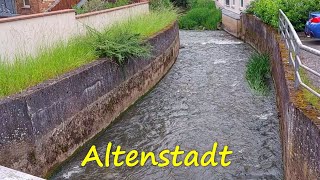 Waldchaos in ALTENSTADT  Alle Städte 660 [upl. by Aylward]