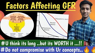 Glomerular Filtration Rate Factors Affecting GFR  Renal Physiology Hindi  Ashish Agrawal [upl. by Beilul]