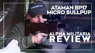 Ataman BP17 Review and Accuracy Test 50 100 yards [upl. by Llennod]