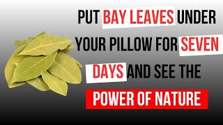 Put Bay leaves Under Your Pillow For Seven Days And See The Power Of Nature [upl. by Hadwyn]