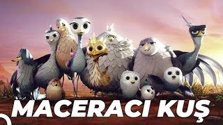 Maceracı Kuş Yellowbird Animasyon Filmi  Full Film İzle [upl. by Rogers]