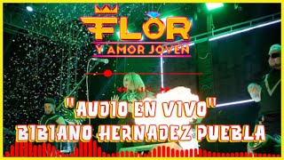 Flor Y Amor Joven  quotAudio En Vivoquot Bibiano Hernandez Puebla [upl. by Routh]