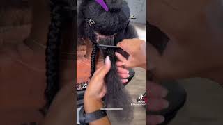 Large Box Braids With a Twist 😊boxbraids braids braidschool [upl. by Ansilma]