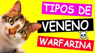 Tipos de Veneno y su Antidoto en perros WARFARINAS [upl. by Hedvig]