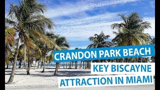 Crandon Park Beach in Key Biscayne Florida  Top Miami Attractions [upl. by Ennybor]