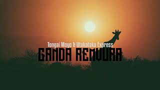 Tongai Moyo  Ganda Remvura [upl. by Free298]