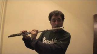 JSBachBeatbox FluteGreg Pattillo [upl. by Assilram]