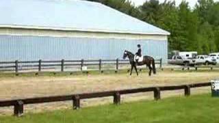 FEI 6 Year Old Horse Dressage [upl. by Nuhsed391]