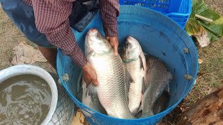 fishing blogging Bangladesh বাংলাদেশের পুকুরে কি ধরনের মাছ হয় যেমন রুই কাতল ইত্যাদি 🐟 [upl. by Inaleon]