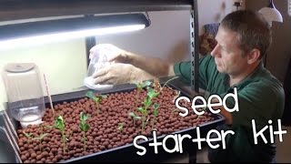 How to start a seed for an aquaponics system [upl. by Iadam]