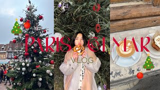 Paris  Colmar Vlog 🇫🇷 พาเที่ยวเมืองแห่ง Christmas กินไม่หยุด อร่อยทุกร้านกับ food blogger [upl. by Nesnaj]