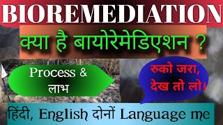 Bioremediation what is bioremediation  bioremediation process Bioremediation in hindi [upl. by Ahseal]