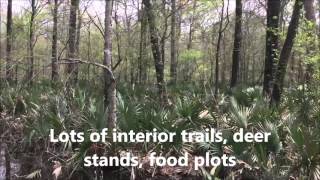 241 ac Tensas Parish Louisiana Deer Hunting Land for Sale  wwwRecLandnet [upl. by Allen]