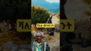 የወንዶች ቁና ሻለቃ መሳፍንት stitch shorts ethiopianculturalmusic [upl. by Araccot]