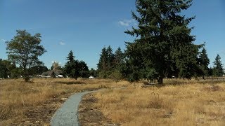 New paths and plantings signal rebirth of Parkland Prairie [upl. by Lekram]