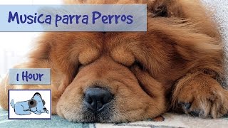 Recopilacion de 1 hora de musica relajante para perros [upl. by Alisan]