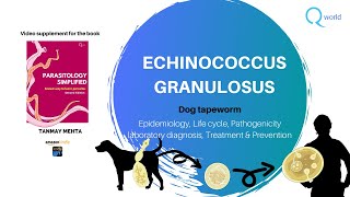 Echinococcus granulosus Dog Tapeworm Parasitology simplified tutorials For NEETPG NEXT USMLE [upl. by Verlie]