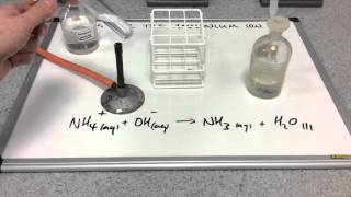 Testing for the ammonium ion [upl. by Aened]