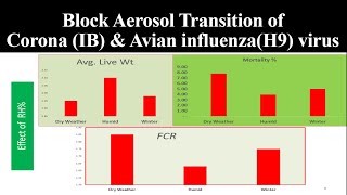 How to stop respiratory diseases in poultry  Practical poultry [upl. by Sirenay]