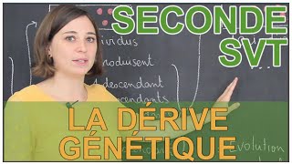 La dérive génétique  SVT Seconde  Les Bons Profs [upl. by Goltz]