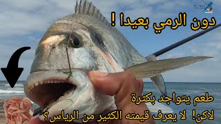 Pêche Au Maroc 2023صيد زريقةpêche dorade royalepesca dellorataseabream fishingpesca de dorada [upl. by Warde]