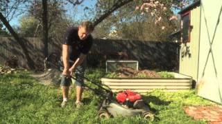 Process Documentary  Mowing the Lawn [upl. by Nosyrb]