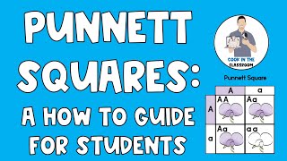 Punnett Squares A Student How to Guide [upl. by Beka]