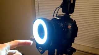 NEEWER 48 LED Ring Light Review Not a Flash  Macro Light for 25 [upl. by Fretwell938]