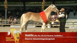 Haflinger Weltausstellung 2010  Highlights Samstag [upl. by Shriver]