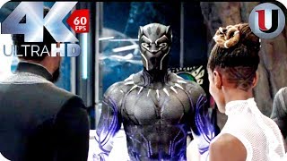 Black Panther Origin Story  Open scene Clip HD [upl. by Nnayllas138]