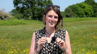 How to take part in the Big Butterfly Count with Lucy Lapwing [upl. by Marrin]