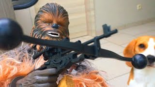 Funny Dogs Startled By Star Wars Chewbacca Toy [upl. by Ennoirb]