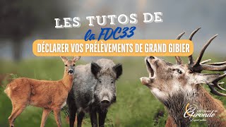 Tuto  Déclaration des prélèvements de grand gibier [upl. by Demha588]