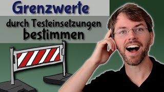 Grenzwerte bestimmen  Limes mit Testeinsetzungen  Taschenrechner  Verhalten gegen unendlich [upl. by Aisinoid]