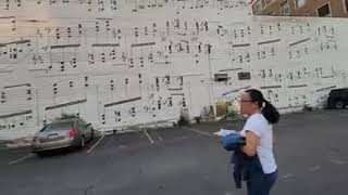 MUSICAL MURAL Minneapolis MN [upl. by Nahc]