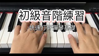 【快速学会弹钢琴】初级一度音阶练习快速打好弹琴基础调号，半音，大调音阶，升号，降号，8度 [upl. by Ojahtnamas]