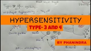 Hypersensitivity Type  3 and Type  4 [upl. by Leavelle]