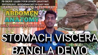 Stomach Viscera Anatomy In Bangla  Abdomen   Anatomy  anatomy viscera mbbs [upl. by Wiese112]