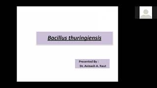 Bacillus thuringiensis as biopesticide bt cotton [upl. by Rotow149]