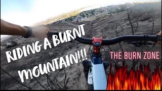 INSANE FREERIDING DOWN A FULLY BURNT MOUNTAIN HARD CRASH [upl. by Berna]