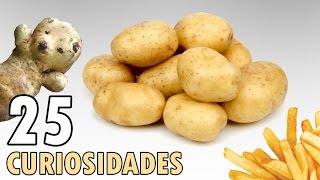 25 Curiosidades de las Patatas [upl. by Montgomery]