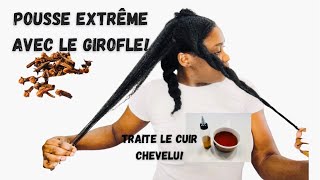 🌿115 LE GIROFLE POUR LA POUSSE ET LE TRAITEMENT DES CHEVEUX roodorganics [upl. by Nauhs]