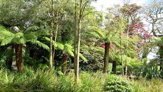 The Lost Gardens of Heligan Cornwall [upl. by Halet]