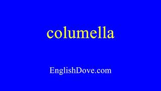 How to pronounce columella in American English [upl. by Wyck]