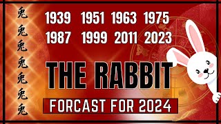 Chinese Rabbit Forecast For 2024  quotWhat Does 2024 Have In Store For Youquot [upl. by Thatcher]