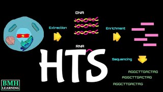 High Throughput Sequencing   454 Sequencing  Ion Torrent sequencing  HTS Methods [upl. by Arvind]